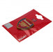 Arsenal FC 3D Fridge Magnet - Excellent Pick