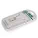 Celtic FC Silver Plated Dog Tag & Chain - Excellent Pick