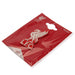 Liverpool FC 3D Fridge Magnet - Excellent Pick