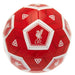 Liverpool FC Football Size 3 HX - Excellent Pick