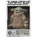 Star Wars: The Mandalorian Poster Wanted The Child 228 - Excellent Pick