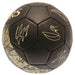 Tottenham Hotspur FC Football Signature Gold PH - Excellent Pick