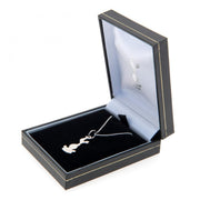 Tottenham Hotspur FC Sterling Silver Pendant & Chain - Excellent Pick